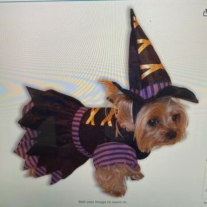 Dog costume